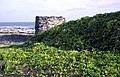 Eine von Pohuehue (Ipomoea pes-caprae) überwucherte Mauer