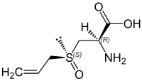 Alliin, a sulfur-containing compound found in garlic.