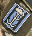 Zespoł Bojowy C, Parasol insignia