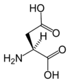 L-asparaginska kiselina (Asp / D)