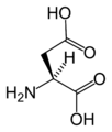 L-아스파르트산 (Asp / D)