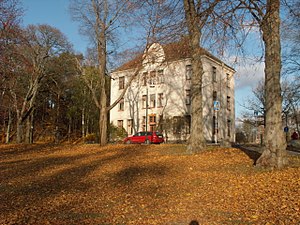 Långbroparken, Dammvillan.