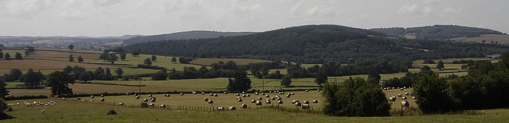 Panoramă în sudul Morvanului (Nièvre).