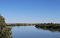 Le Murray à Murray Bridge.