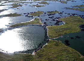 Letecký pohled na Pantanal