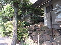 白神社の岩礁