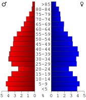 Bevolkingspiramide Heard County