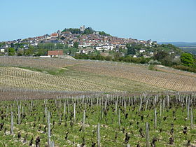 Image illustrative de l’article Sancerre (AOC)