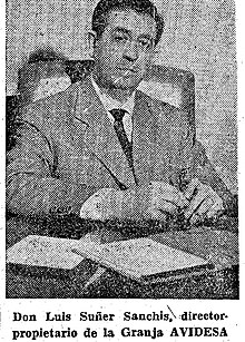 Imagen de Luis Suñer Sanchis en 1961