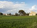 Campagna nei dintorni di Alcamo durante il periodo primaverile