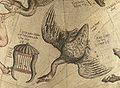 Représentation des constellations de la Lyre et du Cygne, globe céleste de Mercator, 1551