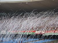 Fluminense's supporters