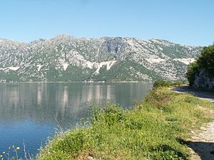 Kotorbukten, nära Kotor