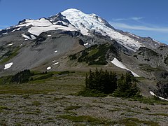 山腹から。山頂左下にリトルタコマ峰