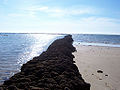 Fish corral in Rota, southern Spain