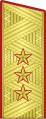 Insigne de colonel-général (uniforme de service de l'Armée de terre).