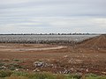 Cotton fields between Toorale National Park and North Bourke (2021).