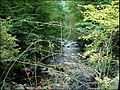 Image 23Bode Gorge (from Harz)