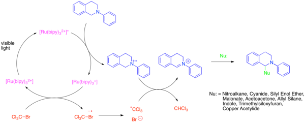 Photocatalytic generation and functionalization of iminium ions