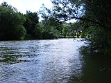 Die Jagst strömt dem Neckar zu. Die letzten Meter ihres 190,2 km langen Weges