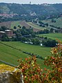 Blick von Zscheiplitz auf die Zeddenbachmühle