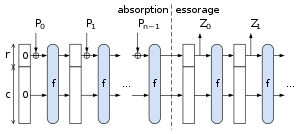 Illustration de la construction de l’éponge