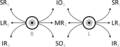 Schematic demonstrating the actions and cranial nerve innervation (in subscript) of extraocular muscles