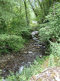 L'Ourteau à Lurbe-Saint-Christau.