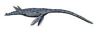 Styxosaurus