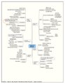 Types of Eczema