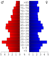 Bevolkingspiramide Emmet County