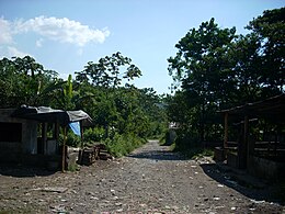 El Palmar – Veduta