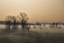 Emerged from the waters. Landscape in the Parco Agricolo Sud Milano near Rosate (MI), Italy. Photograph: Dario.brollo