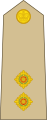 Lieutenant (Jamaican Army)[42]