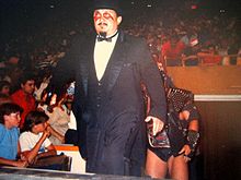 Mr. Fuji