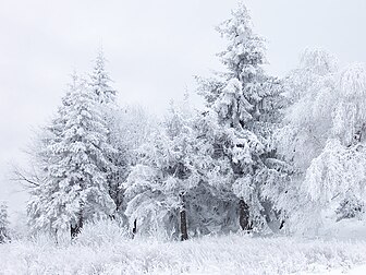 Paysage hivernal du col de Shipka, en Bulgarie. (définition réelle 2 576 × 1 932)