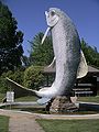 La Grosse Truite d'Adaminaby (en 2005).