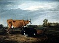 Landscape with Cattle