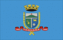 Drapeau de Taquara