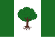 Olivares de Júcar zászlaja