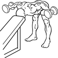 Bilateral standing dumbbell fly end