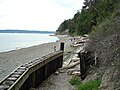 Rocky beach with covered with driftwood