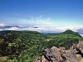 Vue de la zone des pins nains de Sibérie du mont Oakan, en direction du mont Meakan.