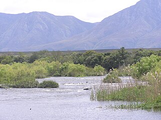 Breederivier met die Langeberg op die agtergrond