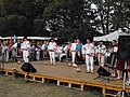 Popolmuzika grupo dum folklora festo