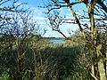 Natuurgebied Aalkeetbuitenpolder