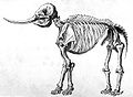 Image 59Drawing of a mastodon skeleton by Rembrandt Peale (from History of Wisconsin)