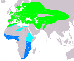 Ареал C. europaeus     Гніздування      Шляхи міграції      Зимування