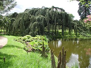 Arboretum de la Vallée-aux-Loups.