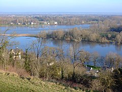 Penisola di confluenza della Vienne (la Loira è sullo sfondo dell'immagine).